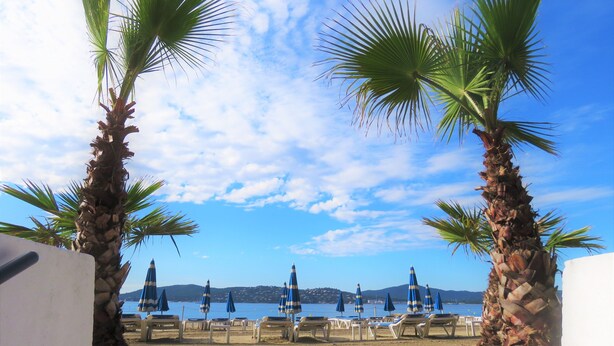 A beach with palm trees, lounge chairs, and umbrellas. - Villa Située Dans un Domaine Prisé Avec Plage Privée + Transats ! (Grimaud)