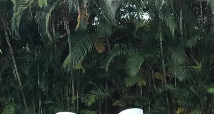 Villa Jeff & Jyps, 2 bedrooms, swimming-pool, 2 min from the beach