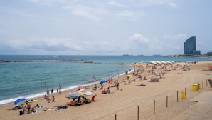 A beach with people sunbathing and swimming, a pier in the background, and a modern building with a curved top.