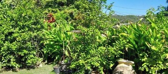Cocoa islet