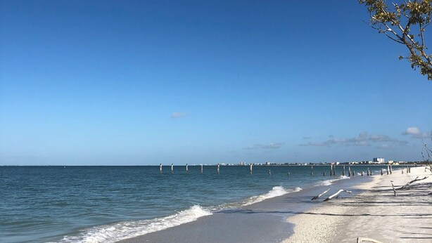 Een strand met heldere lucht, rustig water en een zandstrand met drijfhout.
