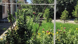 A garden with various plants and flowers, a metal structure, and a building in the background. - Siyohkoron  (Bukhara)