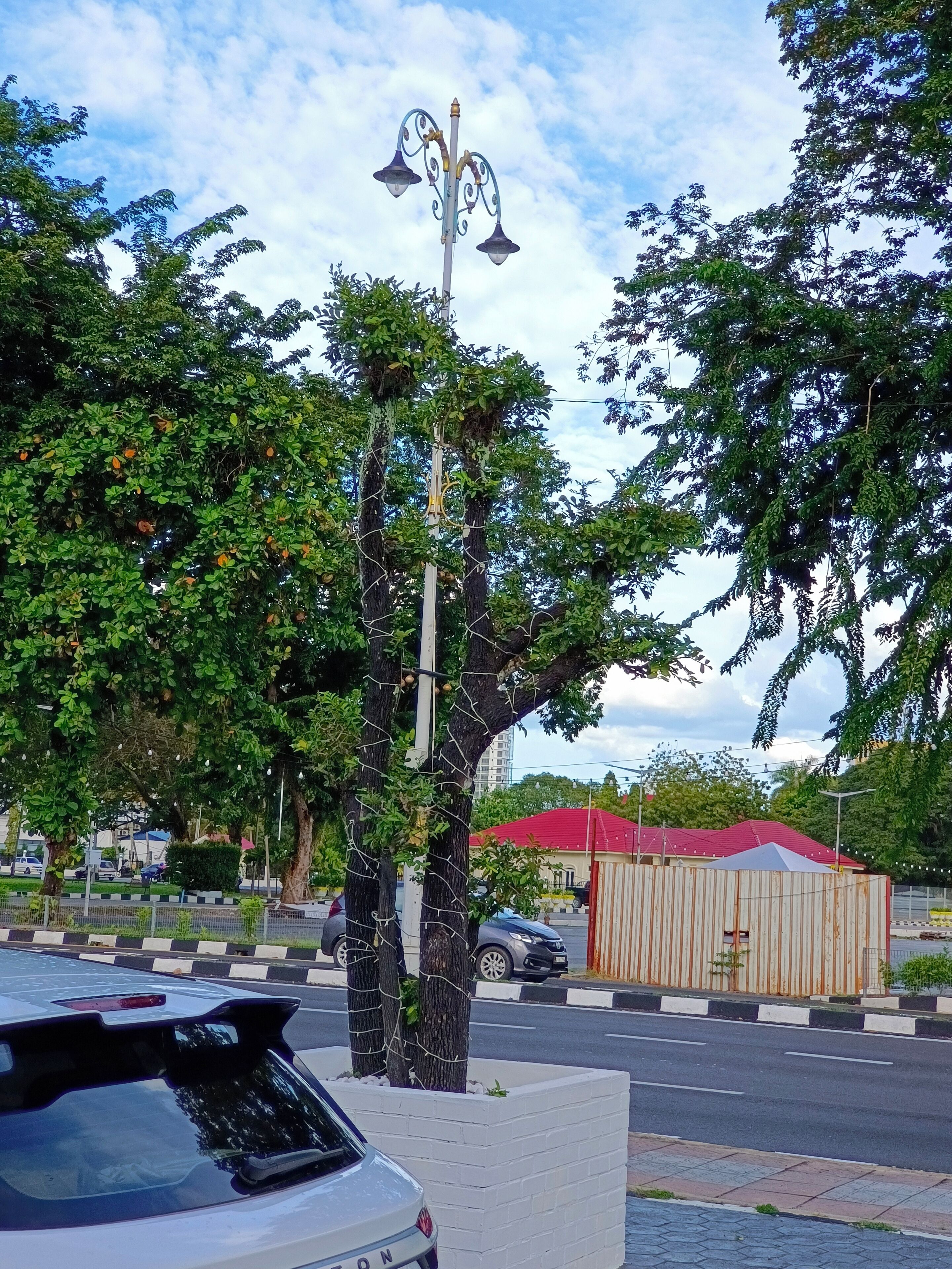 A street scene with a white car parked on the side, a street lamp, and trees.