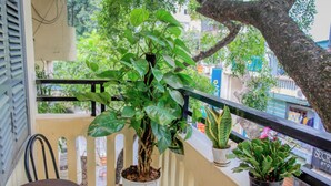 A balcony with a potted plant, a small table with a bowl, and a chair. - Hanoi Family Homestay (Hanoi)