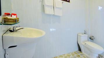 Shower, free toiletries, hair dryer, bidet