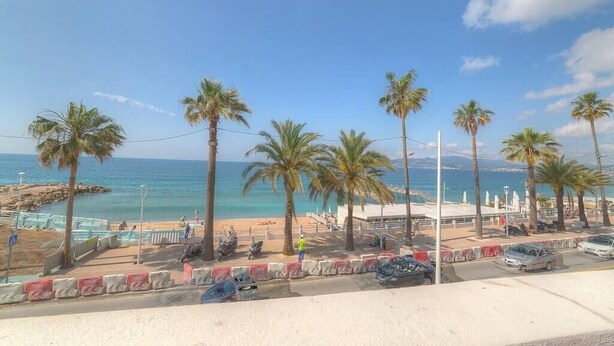 Une route côtière bordée de palmiers, une plage et un ciel bleu azur.
