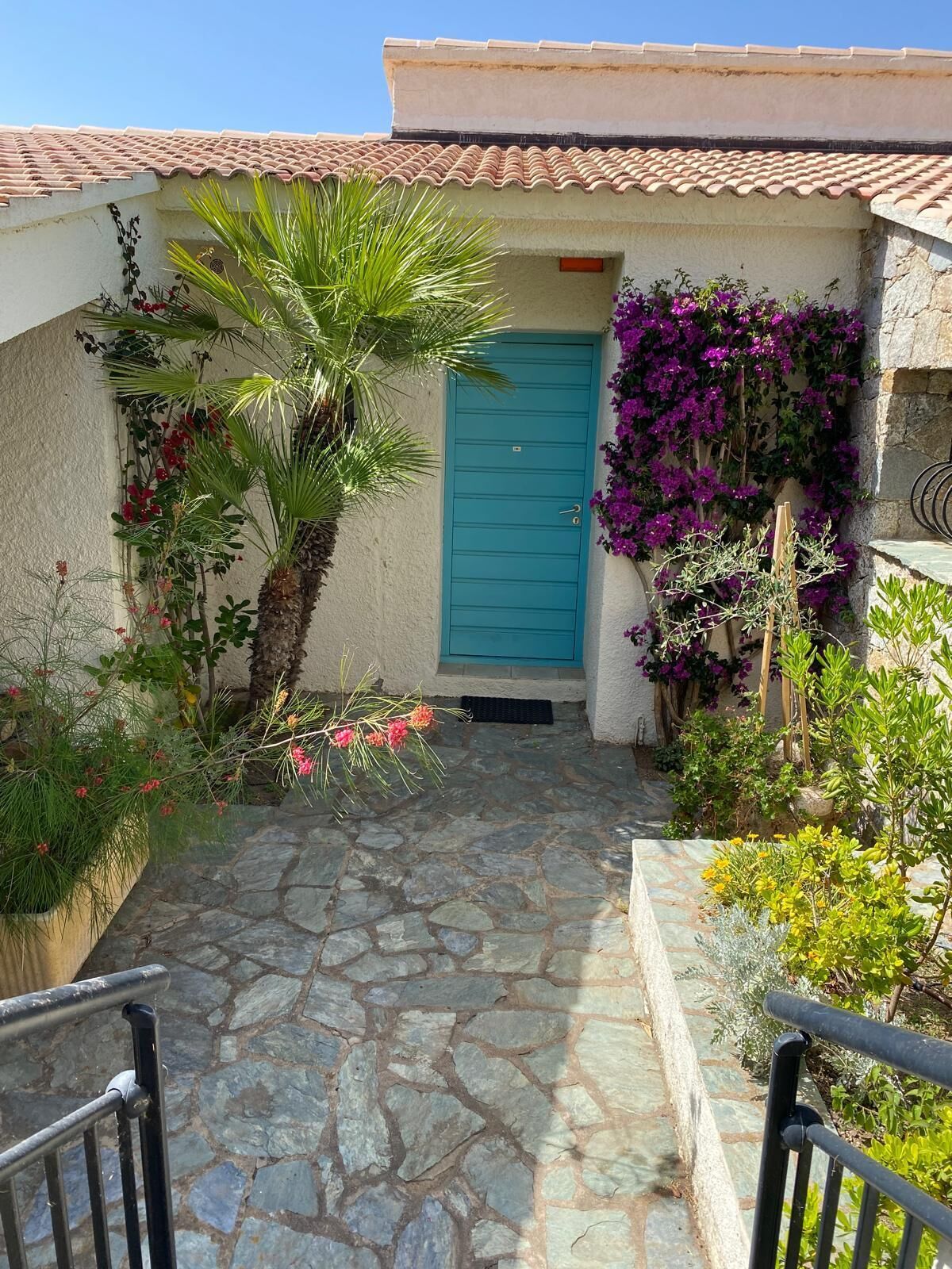 Un chemin de pierre mène à un bâtiment doté d’une porte bleue, qui est entouré de différentes plantes et d’un palmier.
