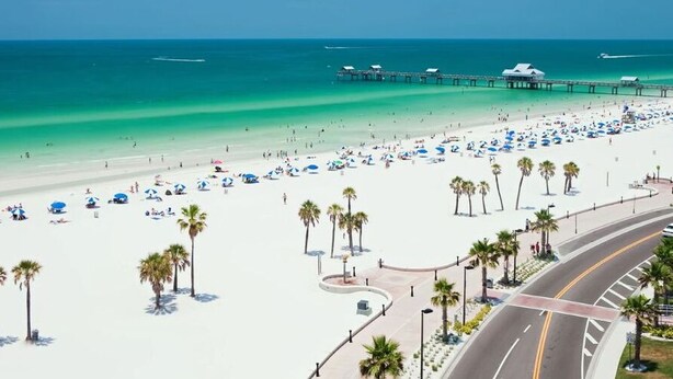A beach with a pier, palm trees, and a road.