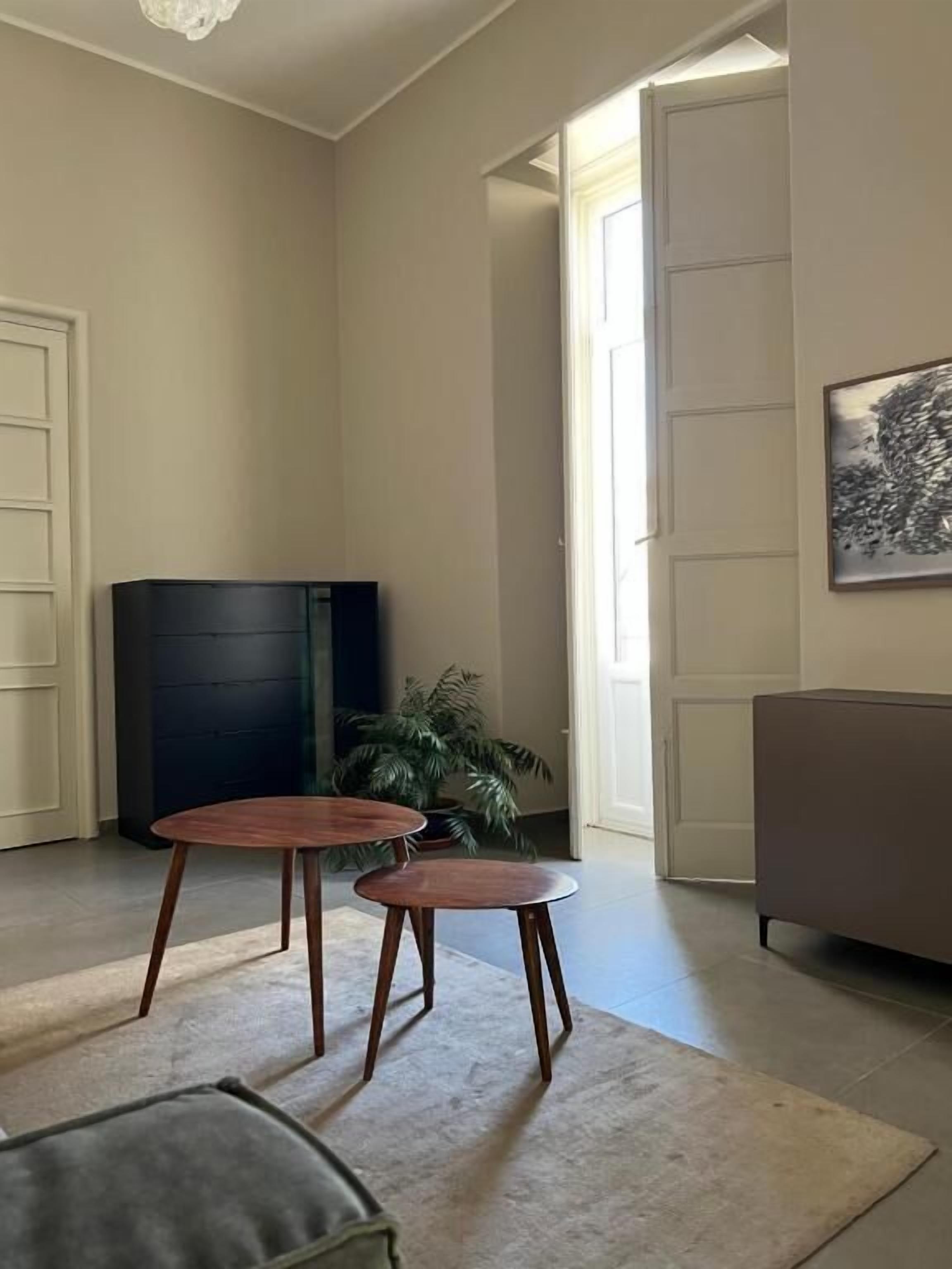 Un salon avec un canapé de couleur sombre, deux tables basses en bois, une plante en pot et un tableau accroché au mur.