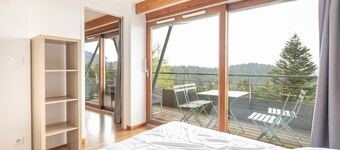 Le Pichu - Appt avec vue montagne