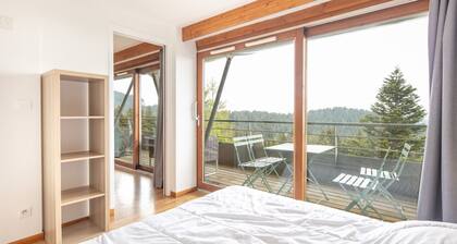 Le Pichu - Appt avec vue montagne