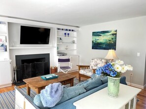 TV, ping pong - Beautiful Cape Cod Summer Home (Orleans)