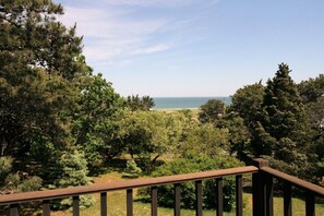 Blick vom Balkon auf eine Küstenlandschaft mit dichtem Grün und blauem Himmel.