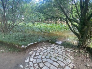 A stone pathway leading to a pond surrounded by lush greenery and trees.