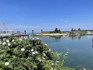 Port de plaisance