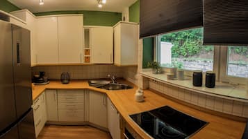 Fridge, oven, stovetop, dishwasher