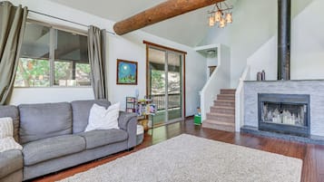 TV, fireplace, video games, video library