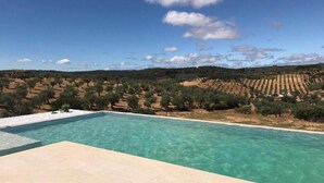 Une piscine offrant une vue dégagée sur les vignobles en terrasses qui s'étendent à l'arrière-plan.
