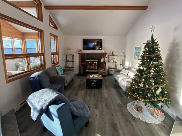 Smart TV, fireplace, books, offices