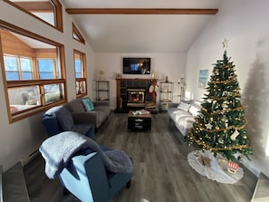 Smart-TV, peis, bøker og kontorer