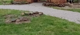 Bunkhouse with AC at B Berry Farms & Co in Elkland, Mo