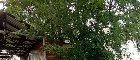 Ulkoalueet