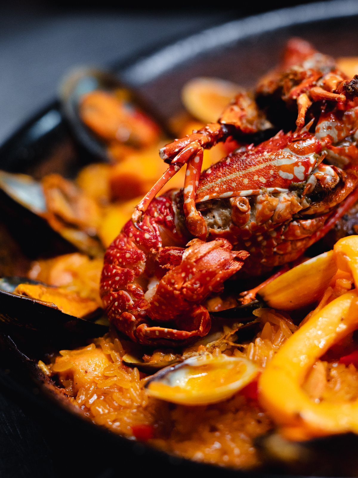 A seafood dish with a crab and mussels.