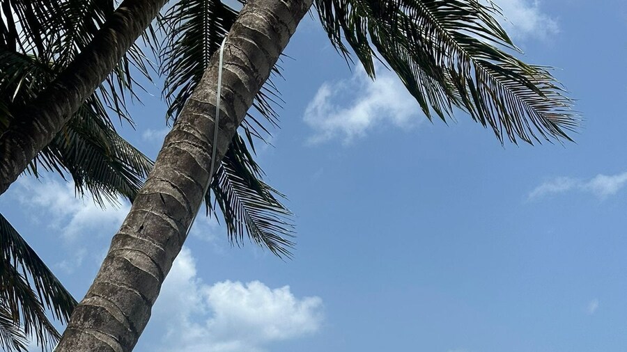 El Cayuco Restaurant apart Hotel