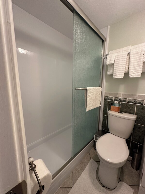 A bathroom with a glass shower enclosure, a toilet, and a sink.