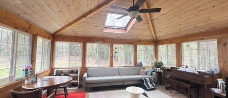 Smart TV, chimenea y monitor de computadora