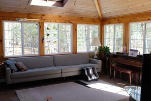 Smart TV, fireplace, computer monitors