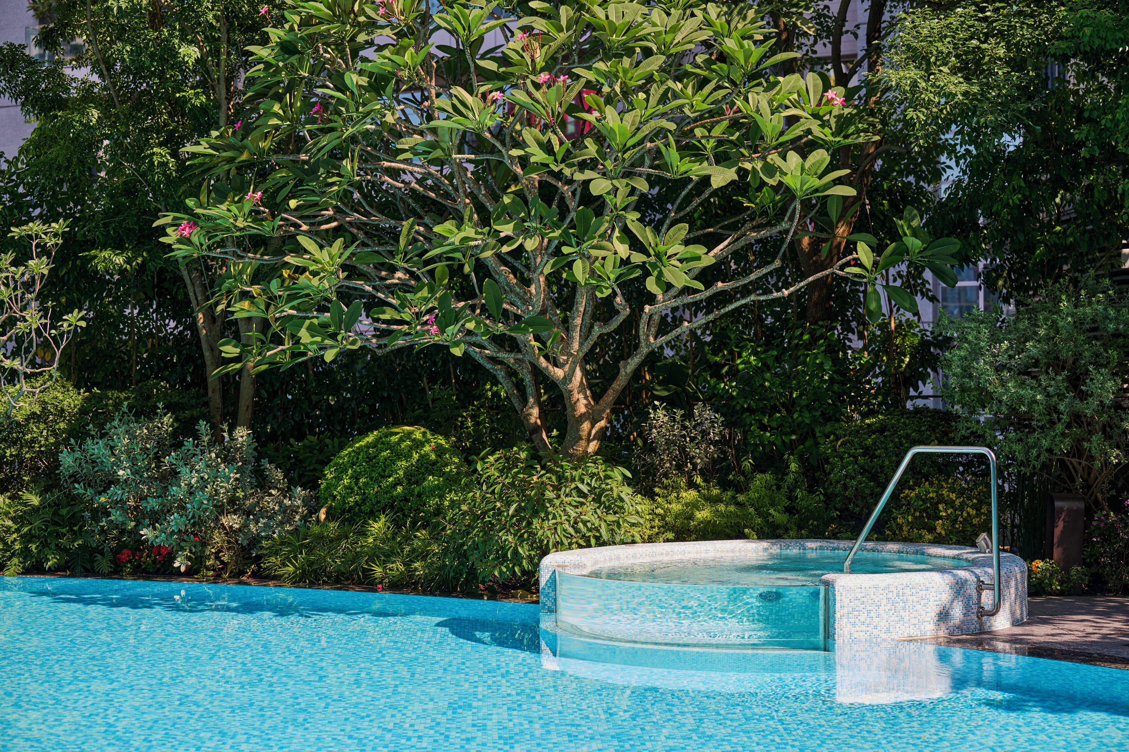 A swimming pool with a metal ladder, surrounded by lush greenery and trees.