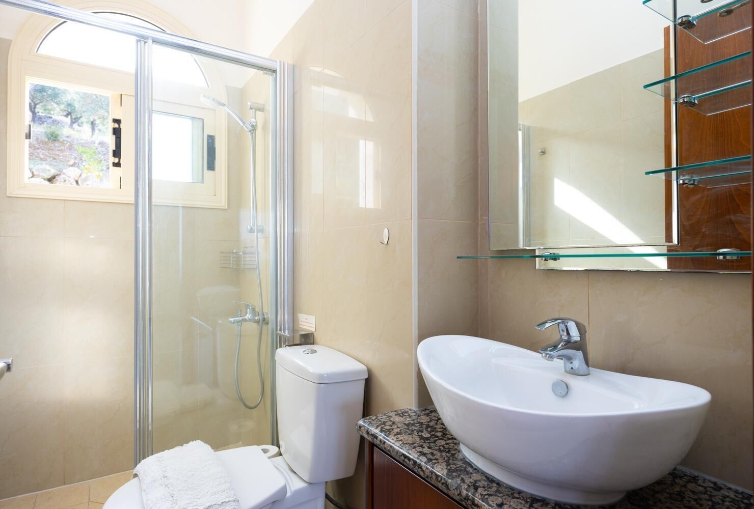 A modern bathroom with a glass shower enclosure, a white sink, and a large mirror.