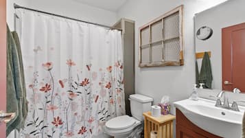 Hair dryer, towels, soap, shampoo