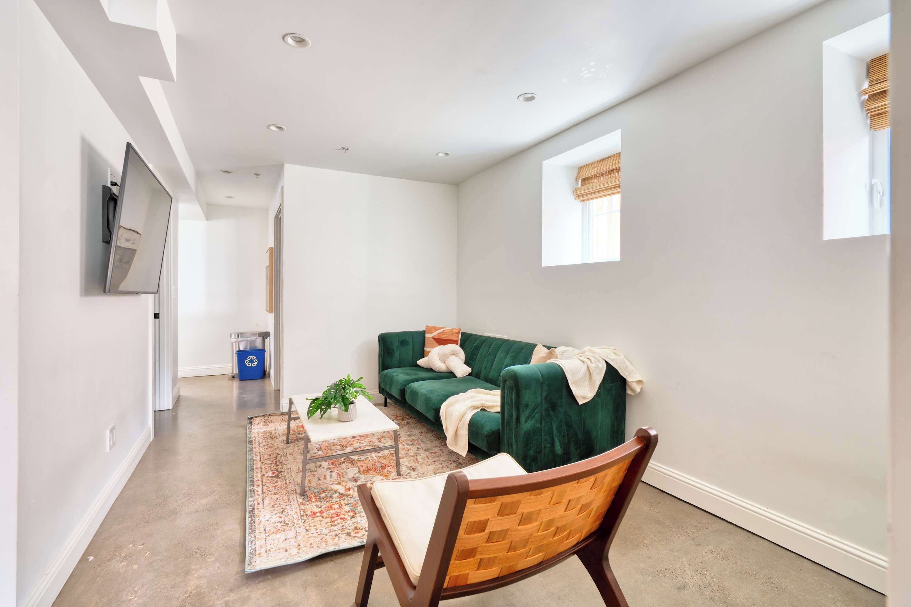 Un salon moderne avec un canapé vert, une chaise en bois, une petite table sur laquelle est posée une plante, et un tapis décoratif.