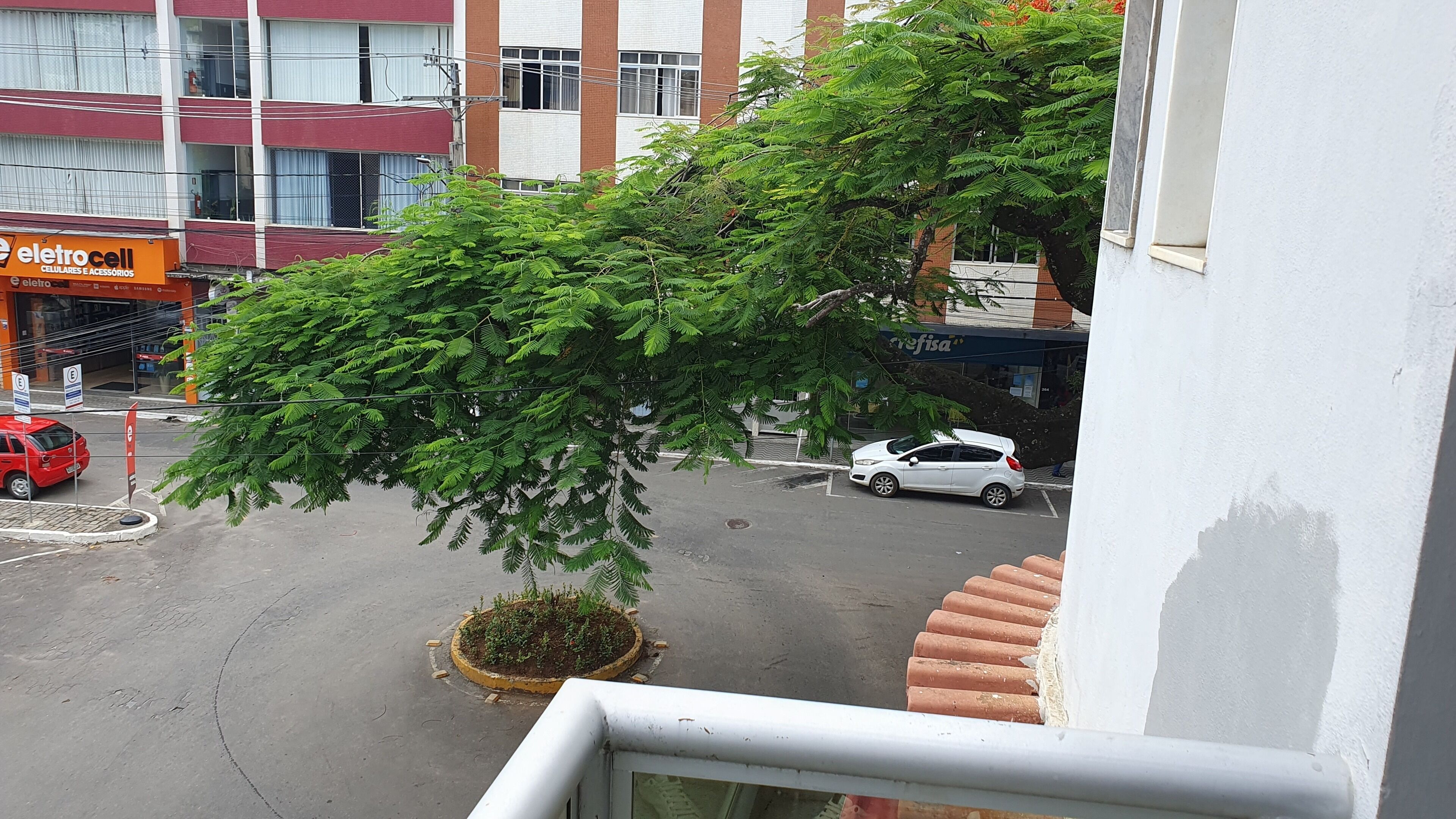 Une vue depuis une fenêtre donnant sur une rue, où l’on aperçoit un grand arbre, un bâtiment avec une enseigne indiquant « eletrocell », et une voiture blanche garée dans la rue.