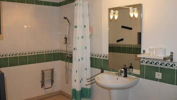 Een badkamer met een douche, een wastafel en een spiegel.