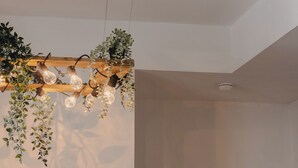 Un plafond orné de plantes suspendues et d’ampoules.