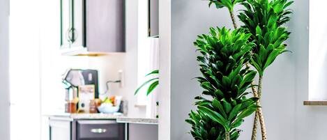 Deluxe Apartment, Kitchen | Living area | 32-inch Smart TV with digital channels, Netflix, Hulu