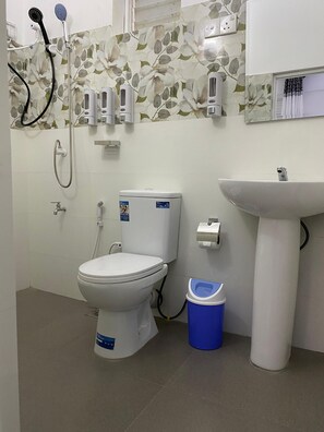 Shower, hair dryer, bidet, towels