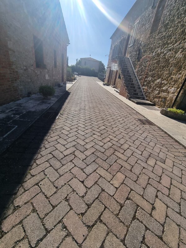 Property grounds - The crete senesi (Asciano)
