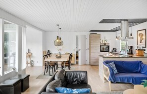 Smart-TV, Kamin