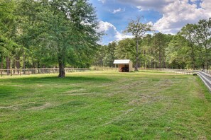 Terrain de l’hébergement 