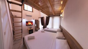 Een knus ingerichte kamer met twee bedden, een televisie, een openhaard en een houten ladder.
