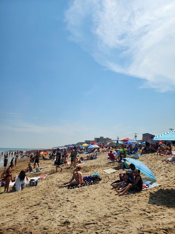 Chaises longues, serviettes de plage
