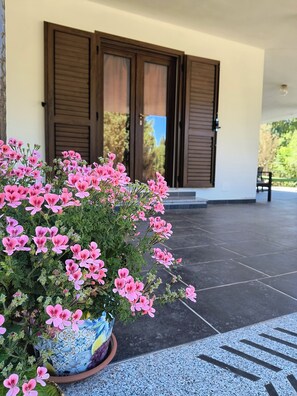 Dettaglio esterni