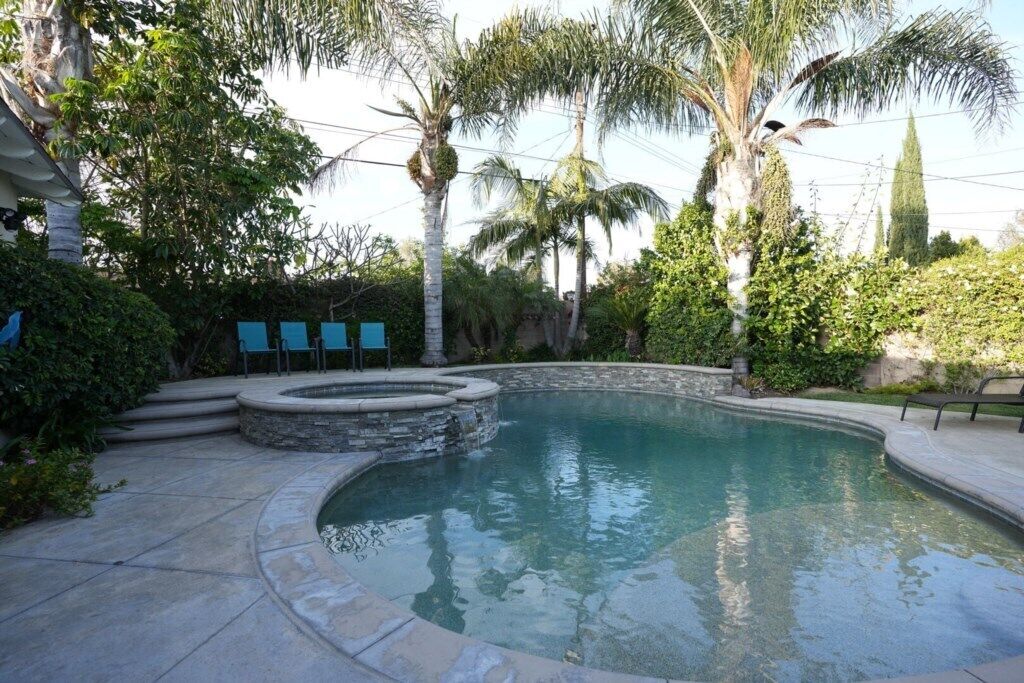 A swimming pool with a stone border, surrounded by palm trees and greenery.
