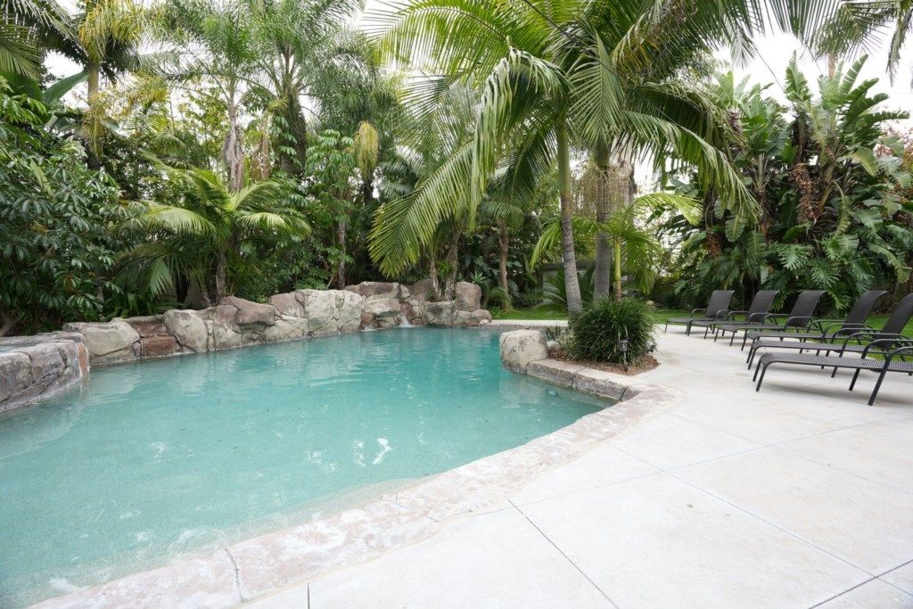 Une piscine entourée de plantes tropicales et de rochers, avec des chaises longues sur le côté droit.