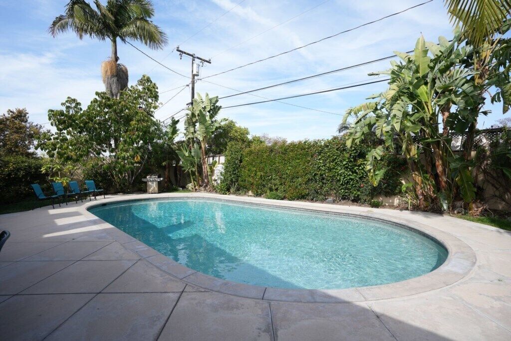 A swimming pool with a curved edge, surrounded by a patio with blue chairs, and lush greenery including palm trees and banana plants.