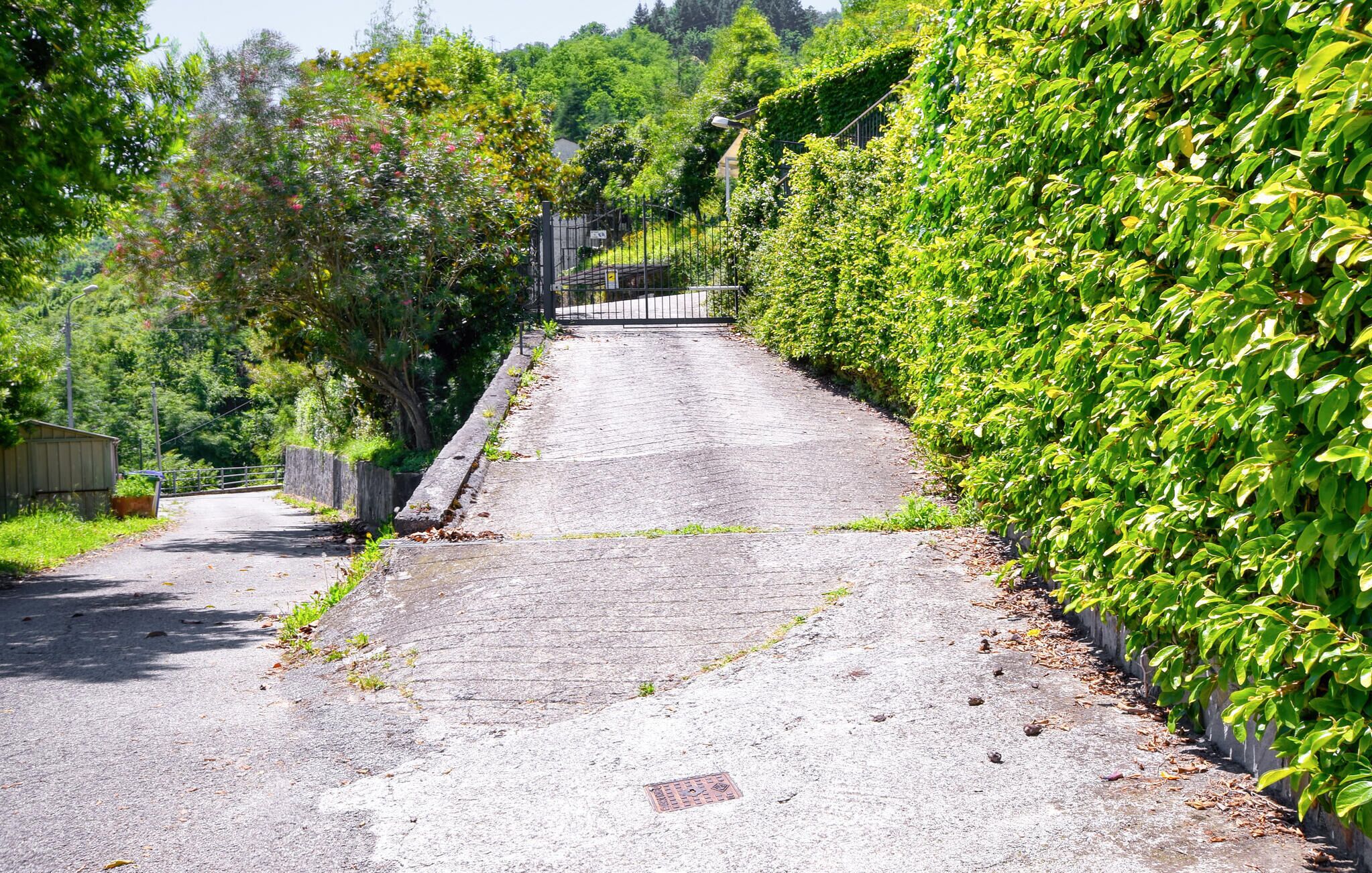 A paved pathway flanked by lush green foliage, leading to a gated area.